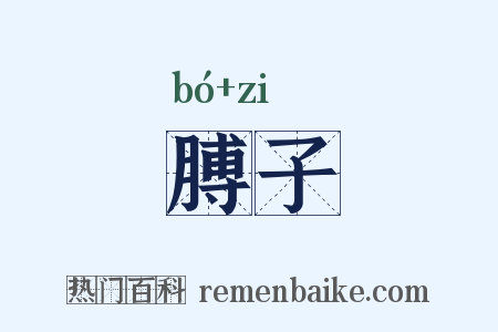膊子是什么意思的图片